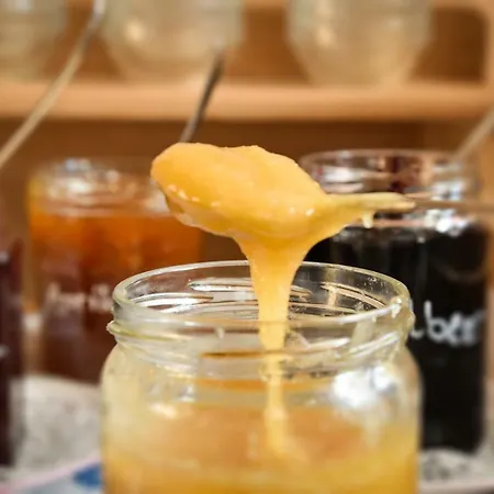 Moarhof Gasthof Bad Wiessee